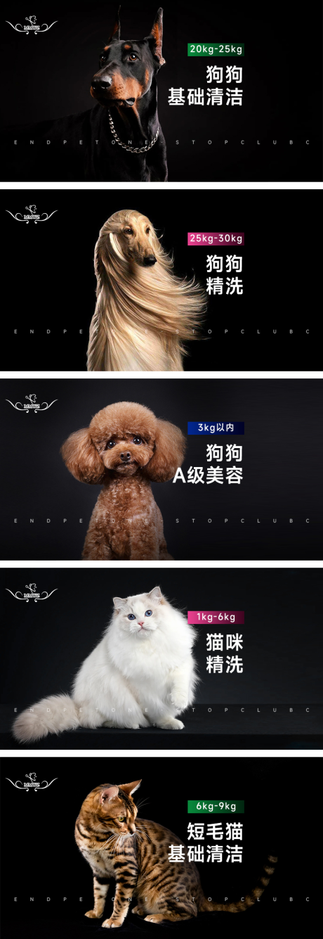 源文件下載【享設計】搜索編號：99170032422237946【寵物店輪播banner】