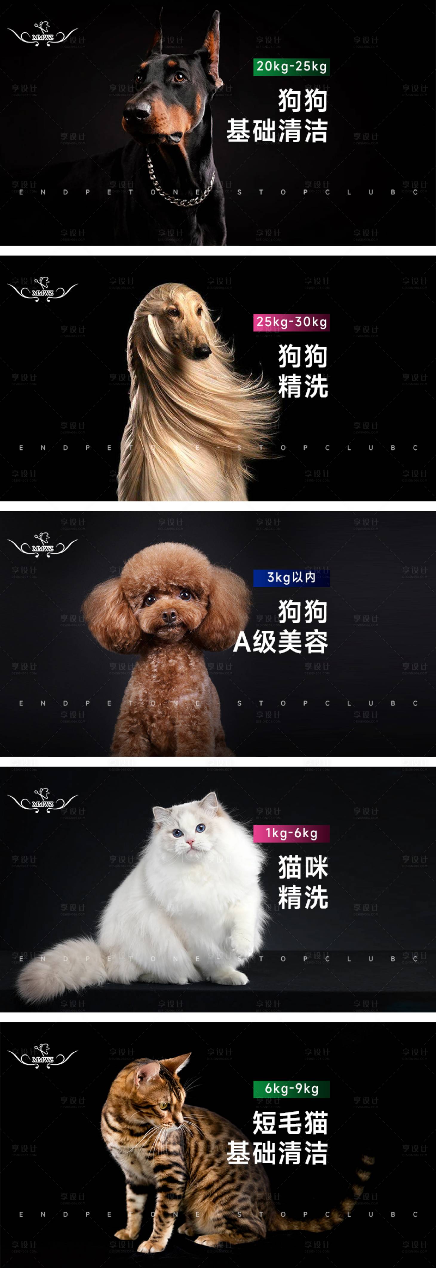 源文件下載【享設計】搜索編號：99170032422237946【寵物店輪播banner】