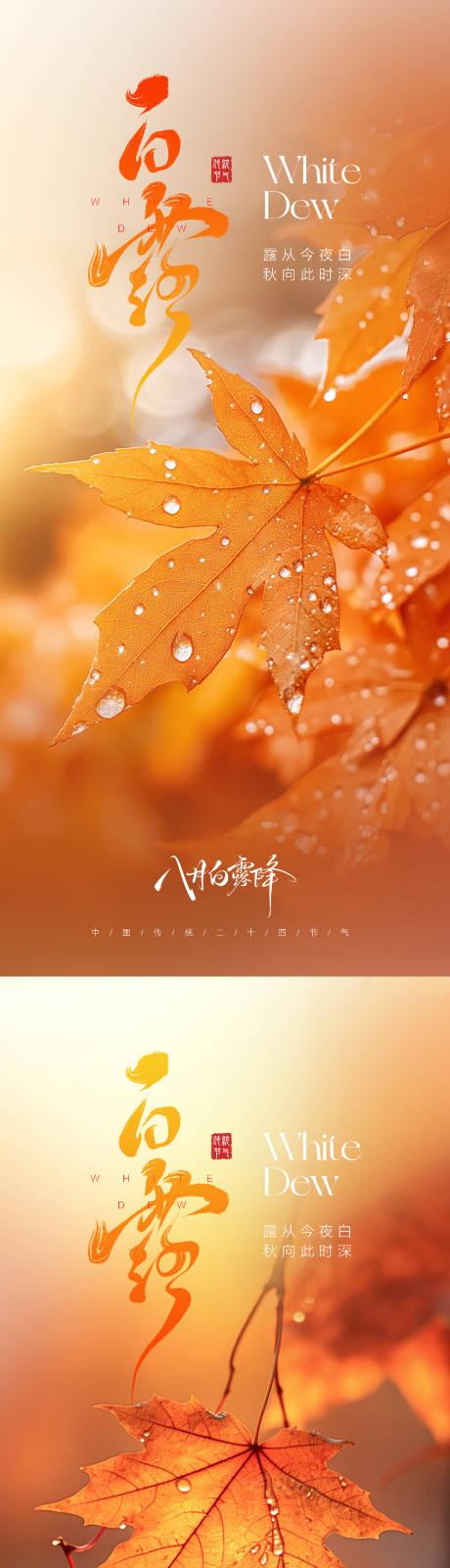 源文件下载【享设计】搜索编号：26640032484535428【白露节气海报】