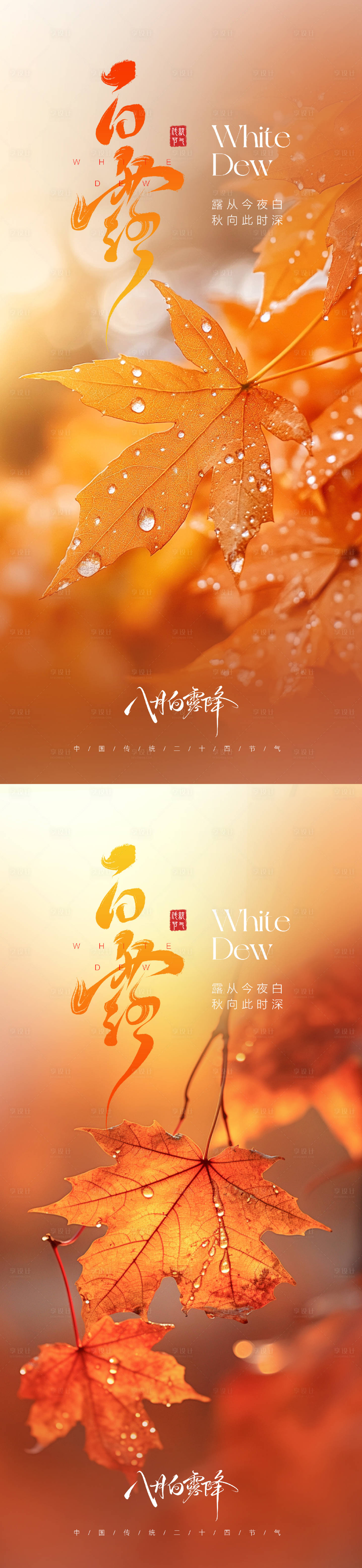 源文件下载【享设计】搜索编号：26640032484535428【白露节气海报】