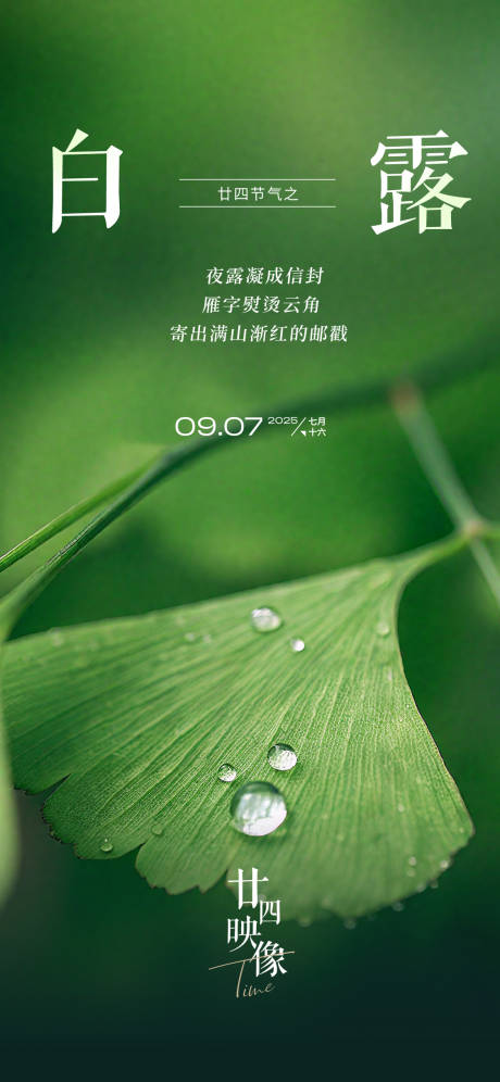 源文件下载【享设计】搜索编号：29350032785086663【2025白露二十四节气节日海报】