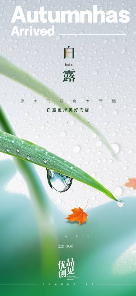 源文件下載【享設計】搜索編號：47760032677836201【白露白露】