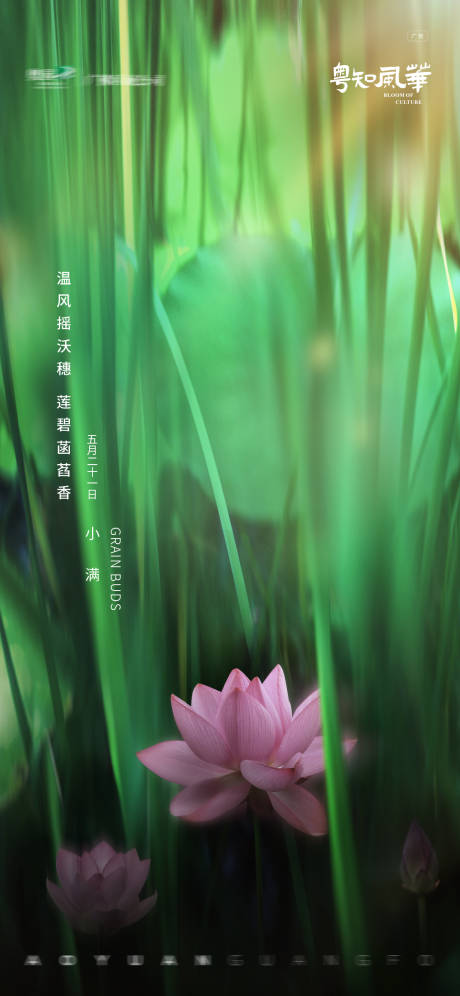 源文件下载【享设计】搜索编号：89540032370125354【小满节气海报】