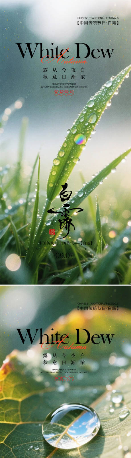源文件下載【享設(shè)計(jì)】搜索編號(hào)：82020032825271208【白露海報(bào)】