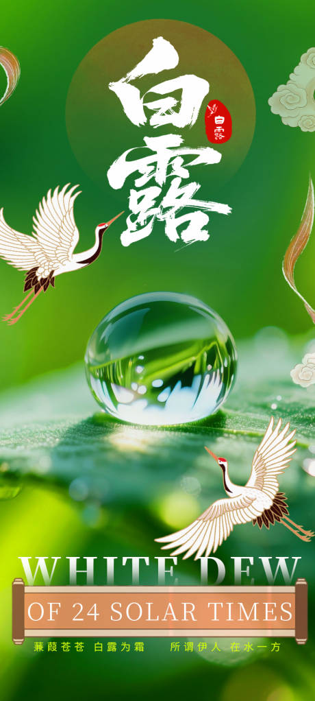 源文件下载【享设计】搜索编号：70750032511874661【白露海报】