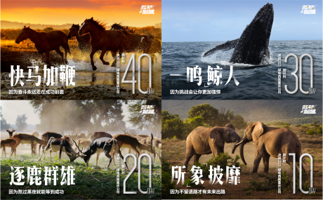 源文件下載【享設(shè)計】搜索編號：85100032723493441【地產(chǎn)沖刺倒計時海報】