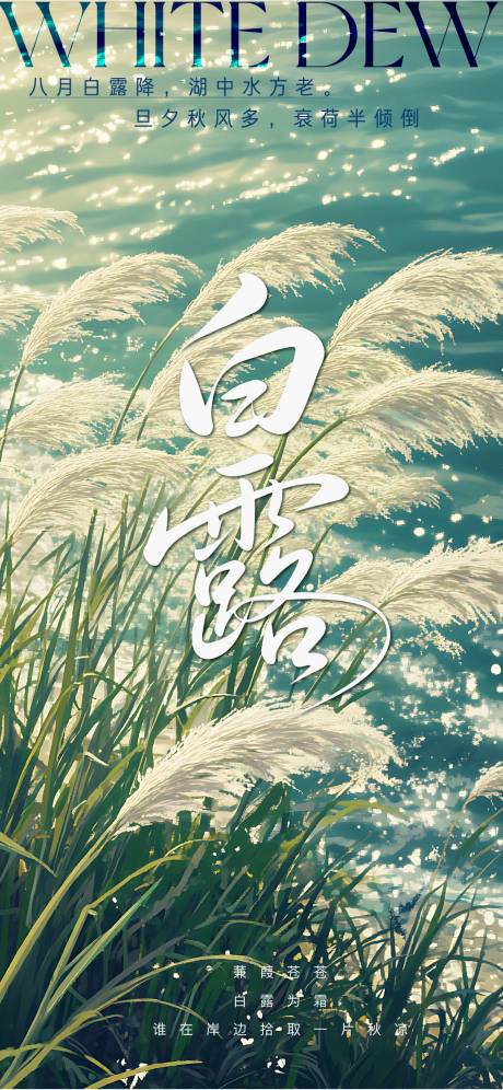 源文件下載【白露海報】編號：23730032278653016