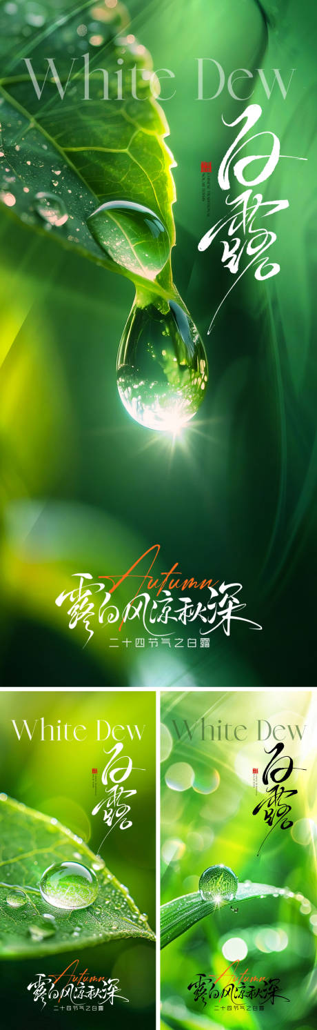源文件下載【享設(shè)計】搜索編號：29300032826005155【白露海報】
