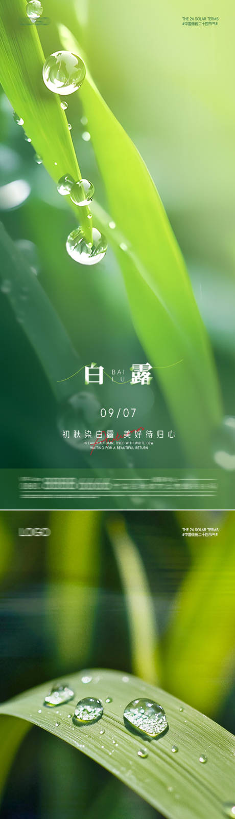 源文件下载【享设计】搜索编号：10520032802193876【白露节气海报】