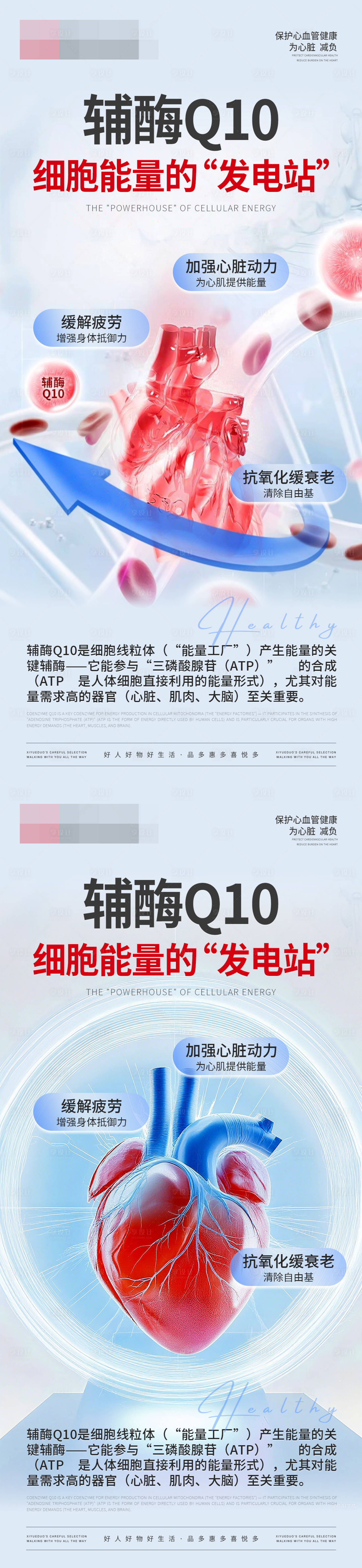 源文件下载【享设计】搜索编号：55360032806822394【辅酶Q10保健品海报】