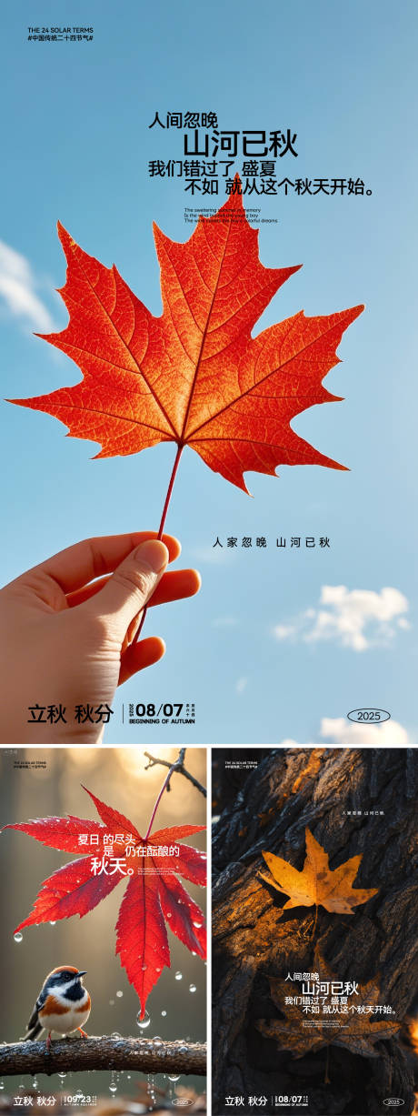 源文件下載【秋天節(jié)氣合集】編號：10290032283907048
