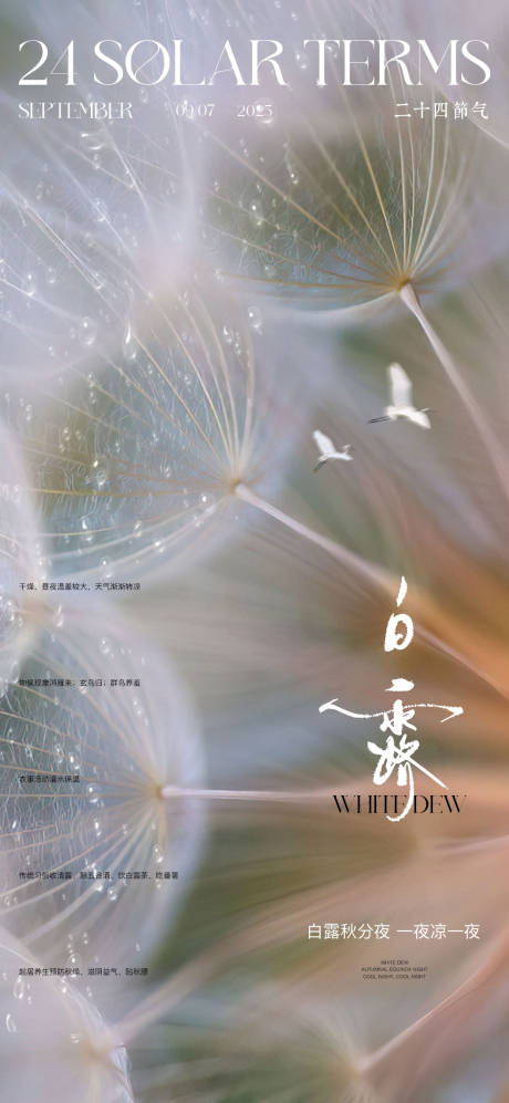 源文件下載【享設計】搜索編號：80330032749641188【白露節氣海報】