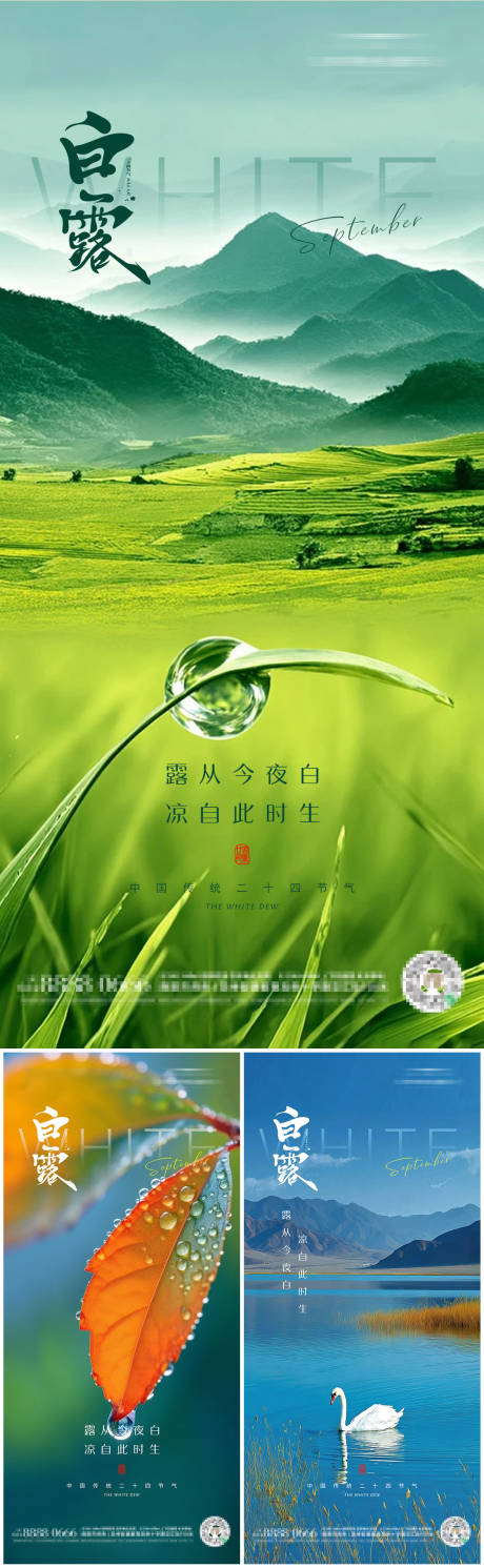 源文件下载【享设计】搜索编号：48110032376961442【白露二十四节气朋友圈海报】