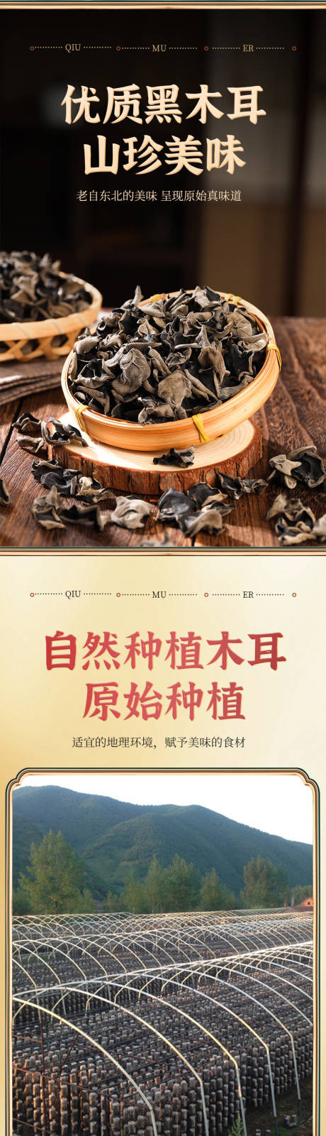 木耳农产品详情