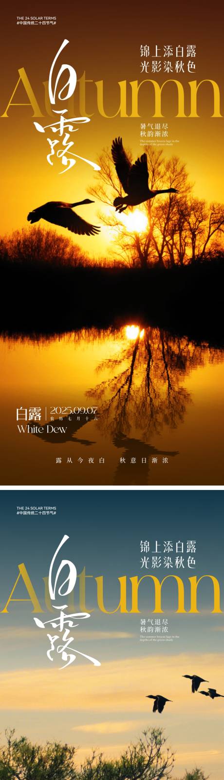 源文件下載【享設計】搜索編號：83730032503275528【白露節氣海報】