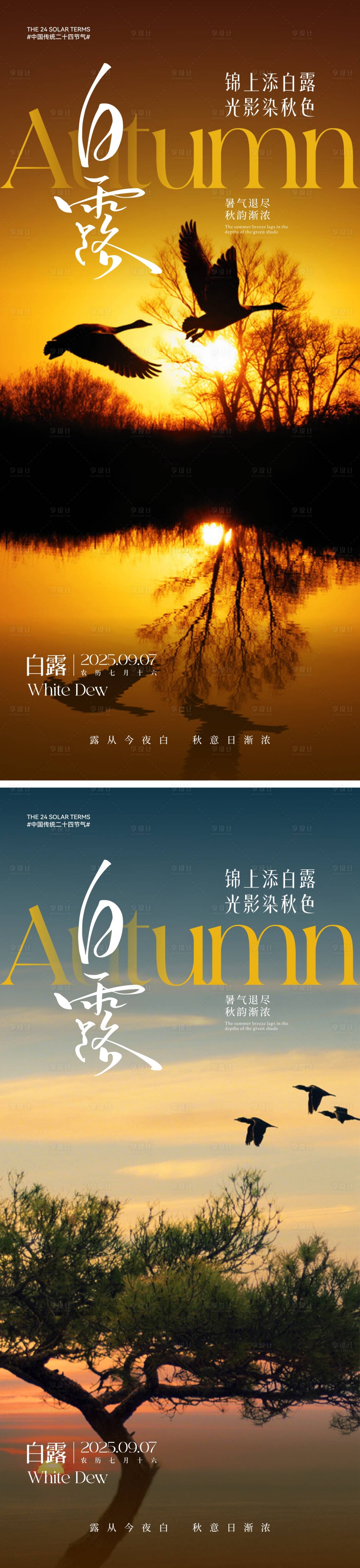 源文件下载【享设计】搜索编号：83730032503275528【白露节气海报】