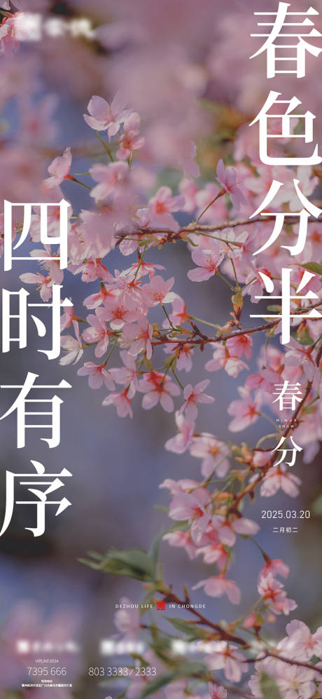 源文件下載【享設(shè)計(jì)】搜索編號(hào)：41000032382235544【春分節(jié)氣稿】