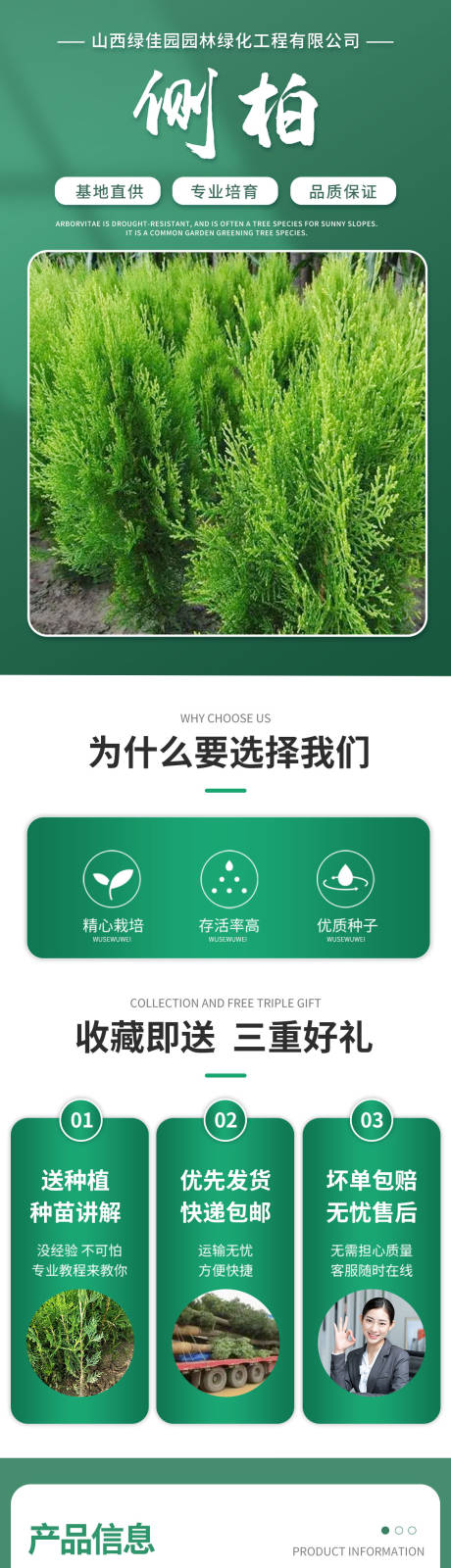 源文件下载【享设计】搜索编号：88050032388286280【侧柏详情页】
