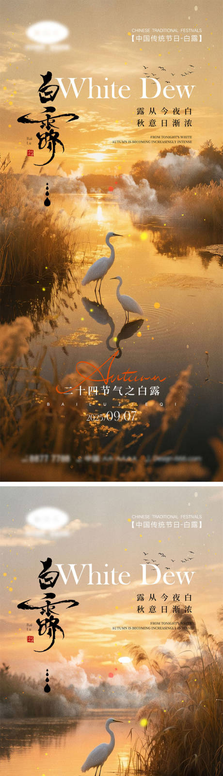 源文件下载【享设计】搜索编号：38770032692599833【白露节气海报】