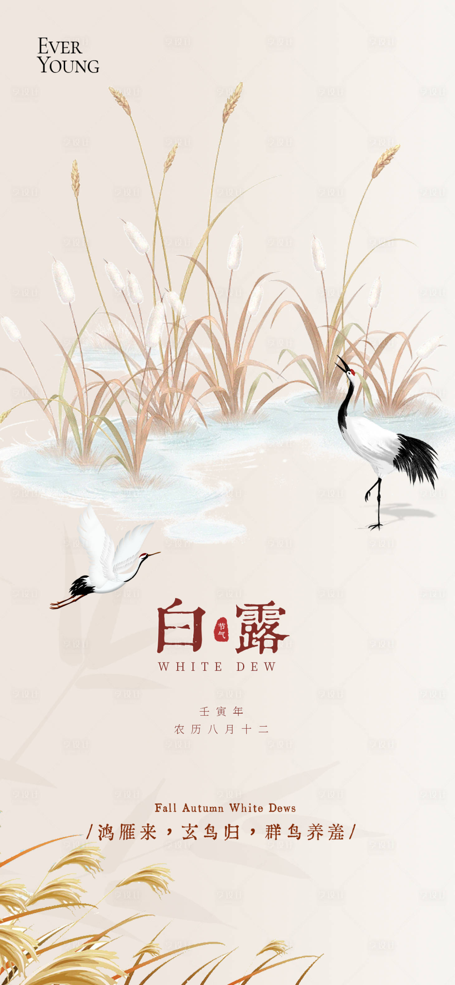 源文件下载【享设计】搜索编号：82180032818864142【24节气秋季白露海报】