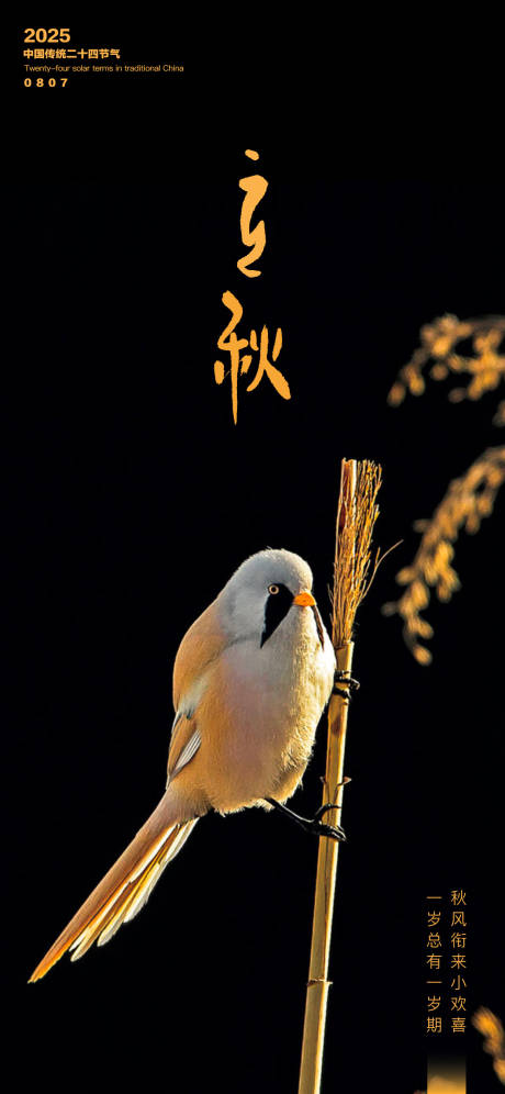 源文件下载【享设计】搜索编号：40690032298989415【海报立秋传统二十四节气黑黄】