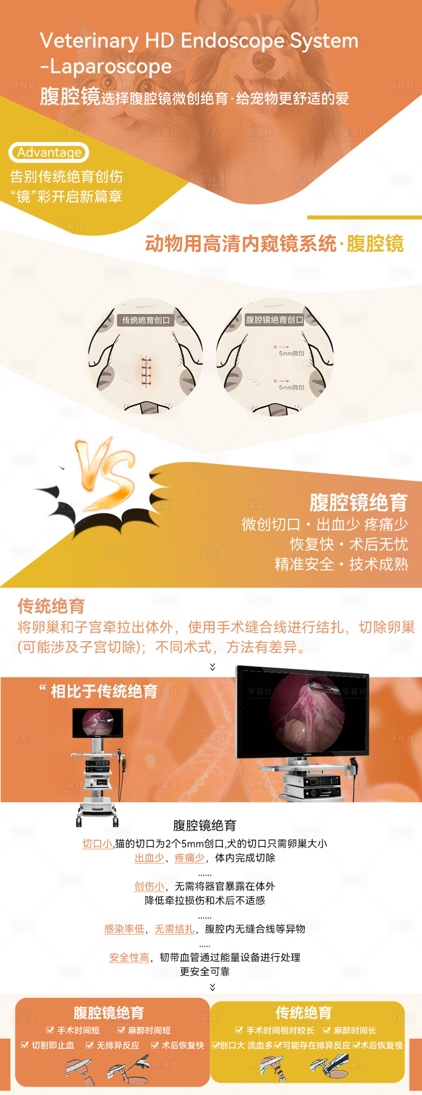 源文件下载【享设计】搜索编号：71080032330377735【宠物】