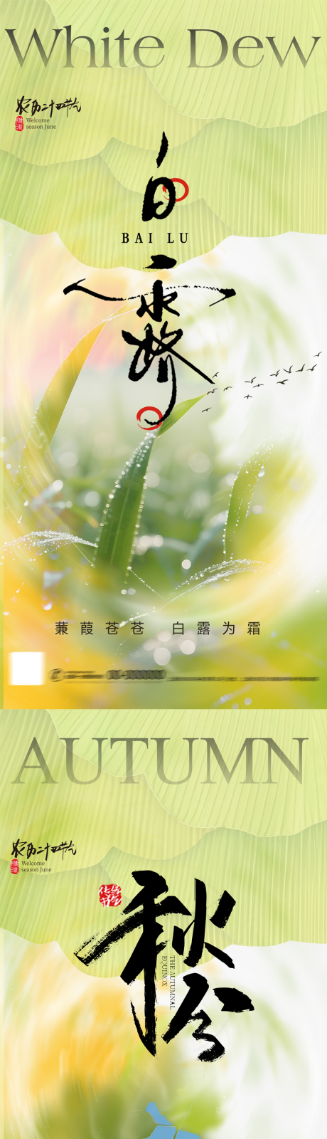 源文件下载【享设计】搜索编号：71900032659255755【白露秋分节气海报】