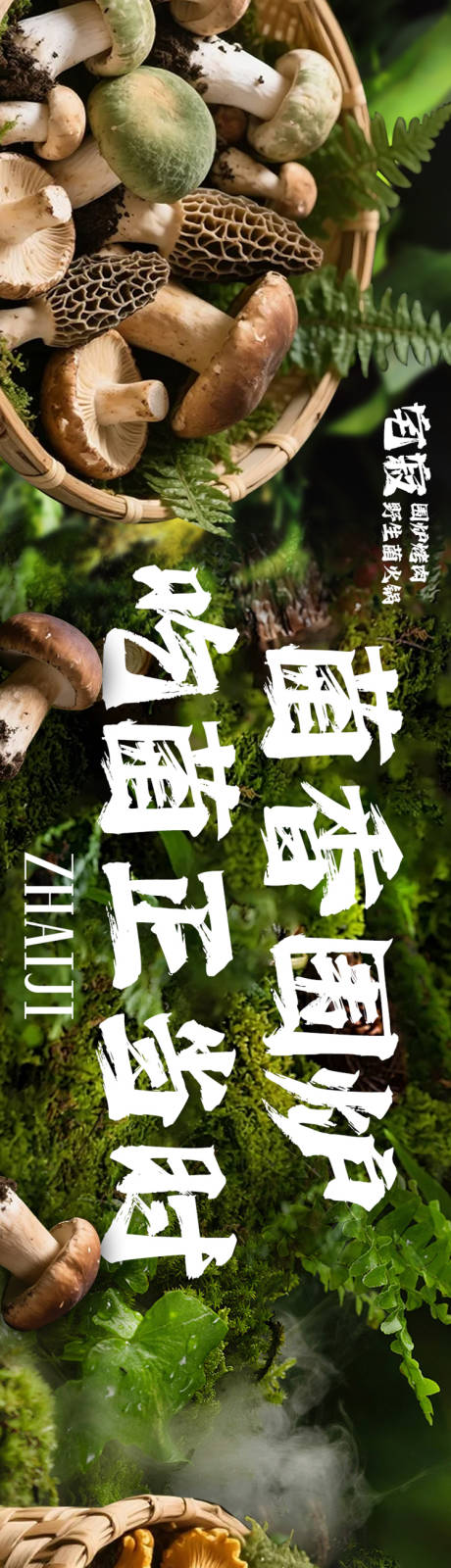 大众点评野生菌五连图设计