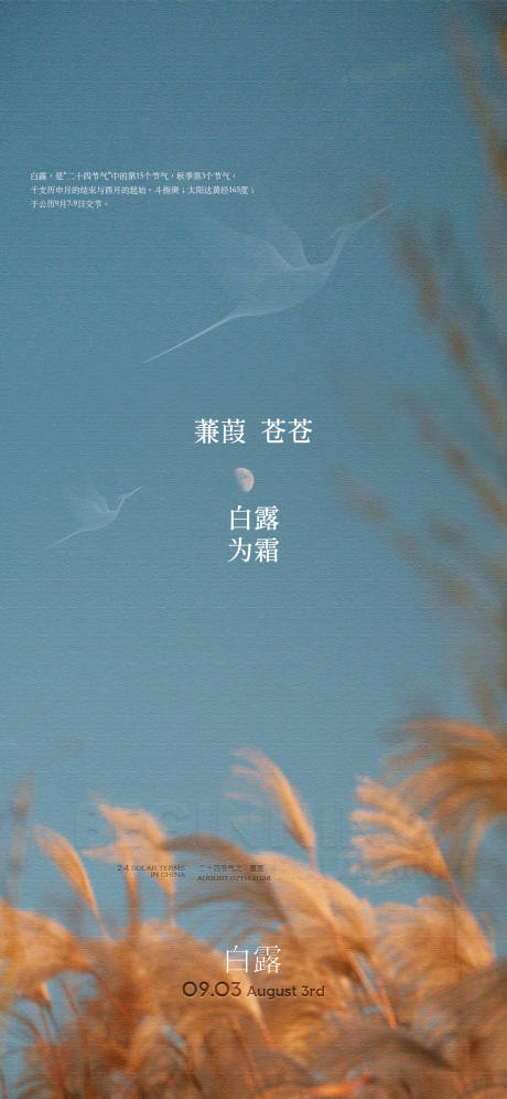 源文件下載【享設(shè)計(jì)】搜索編號(hào)：89670032827499725【白露節(jié)氣海報(bào)】