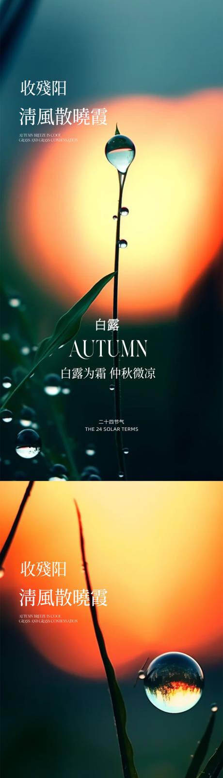 源文件下载【享设计】搜索编号：81210032825831560【白露海报】