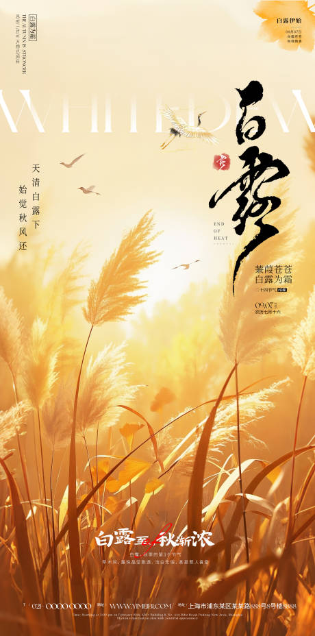 源文件下载【享设计】搜索编号：23670032635756506【白露海报】