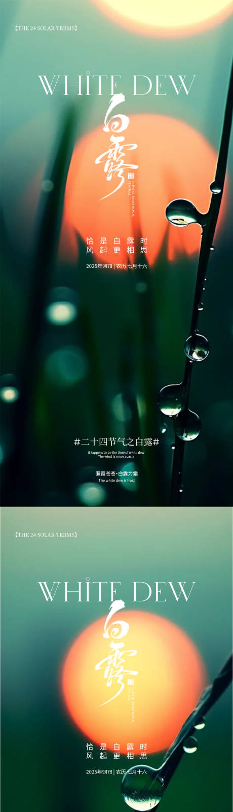 源文件下载【享设计】搜索编号：55260032825804652【白露海报】