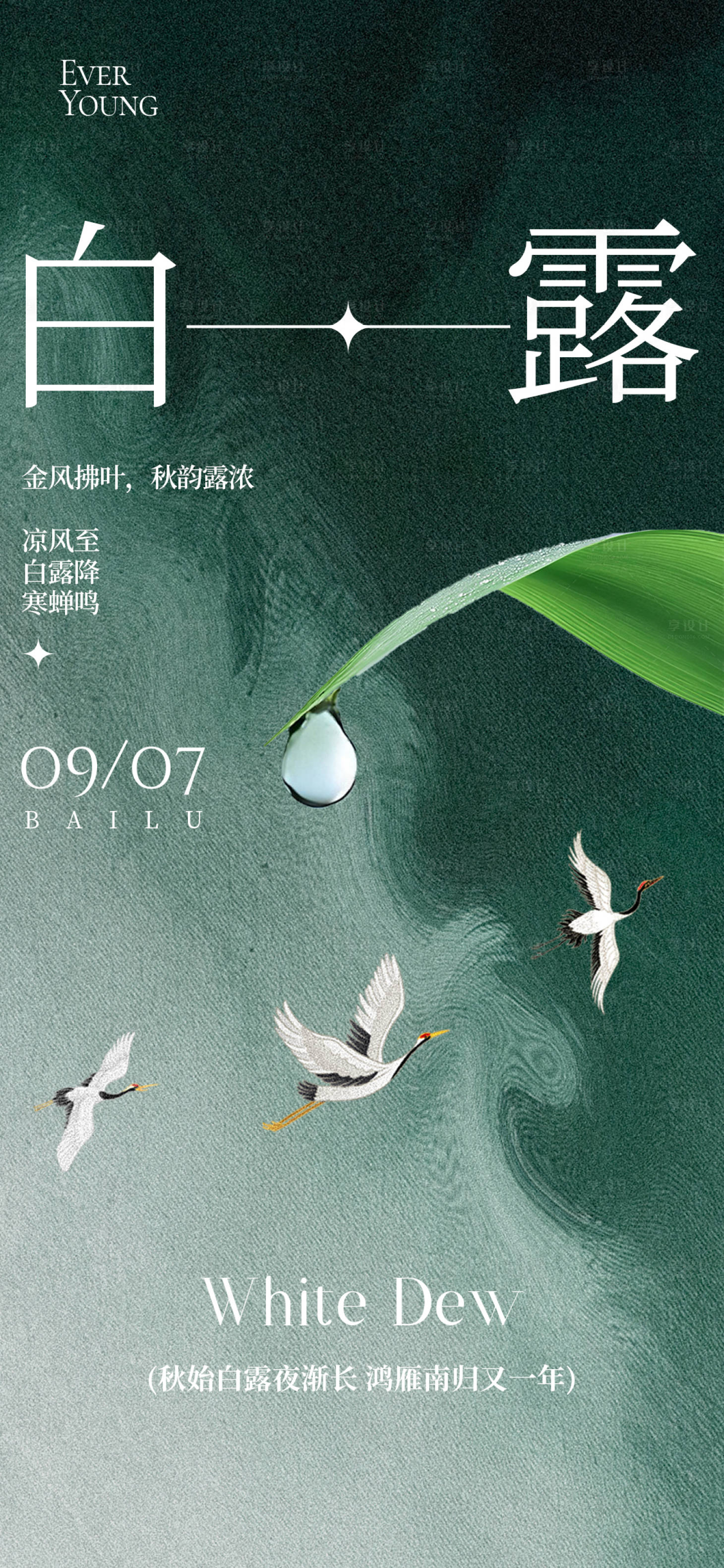 源文件下载【享设计】搜索编号：45410032818666253【24节气秋季白露海报】