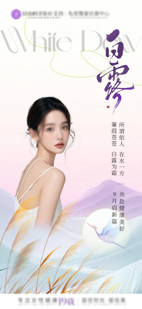 源文件下载【享设计】搜索编号：57160032612781604【白露节日海报】