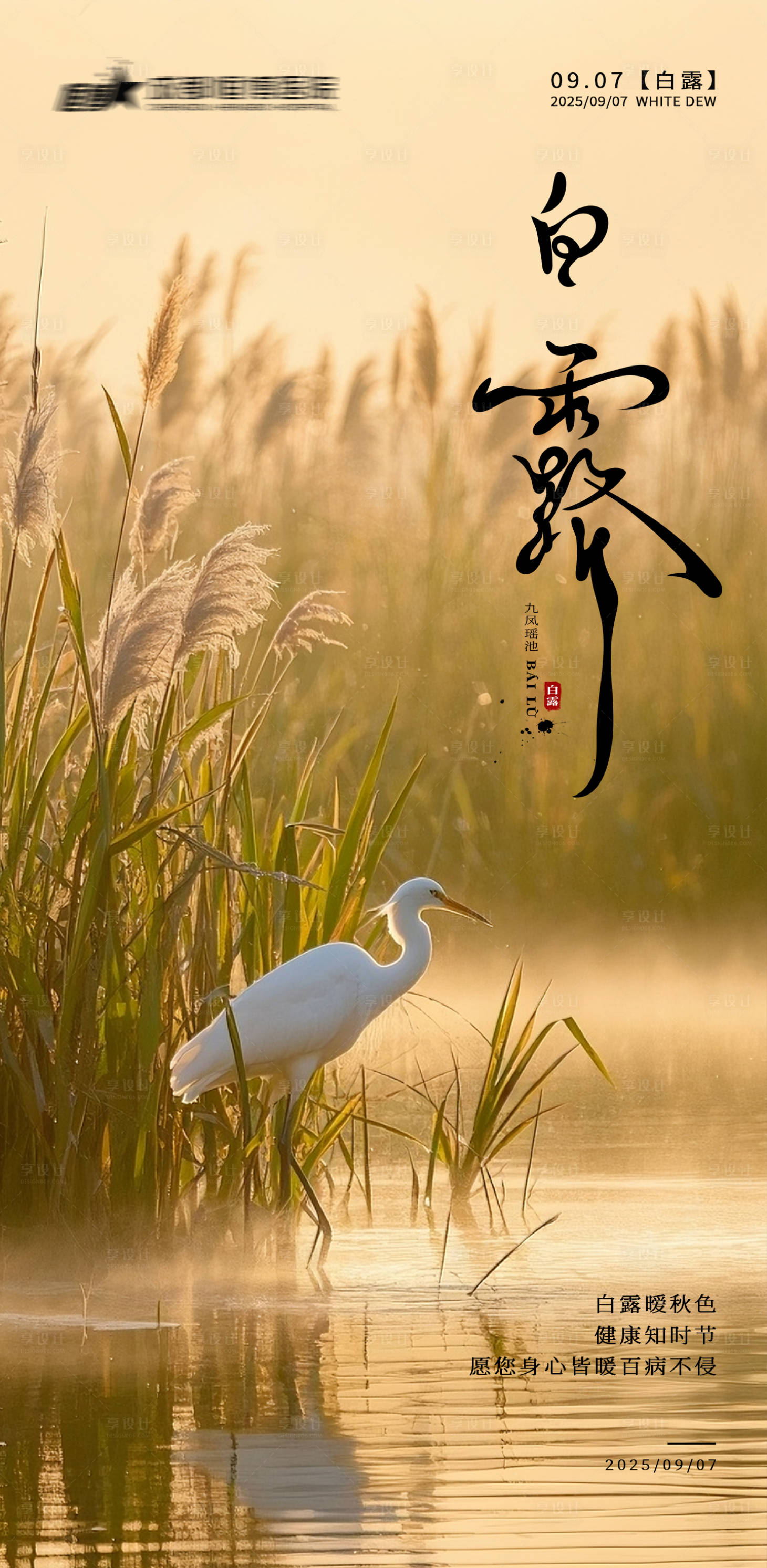 源文件下载【享设计】搜索编号：35610032796851780【医院地产白露节气海报】