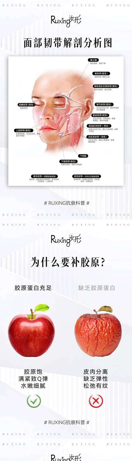 源文件下载【享设计】搜索编号：15520032510646553【医美胶原蛋白海报】