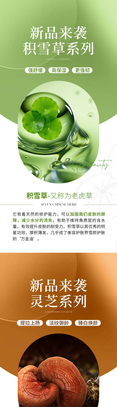 源文件下載【享設計】搜索編號：95800032608937003【護膚品植物成分海報】