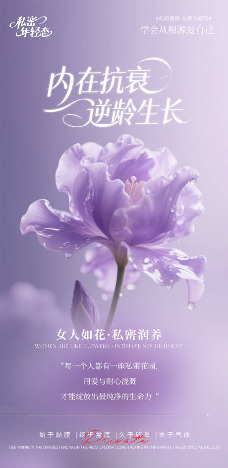 源文件下载【享设计】搜索编号：10300032528979158【内在抗衰】