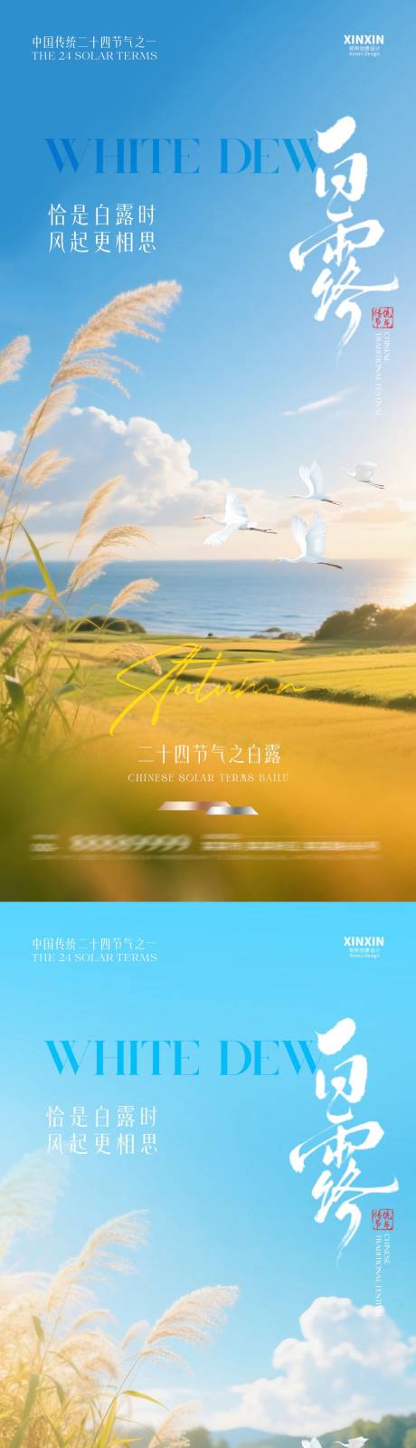 源文件下载【享设计】搜索编号：74150032700196279【地产白露芦苇风景摄影海报】