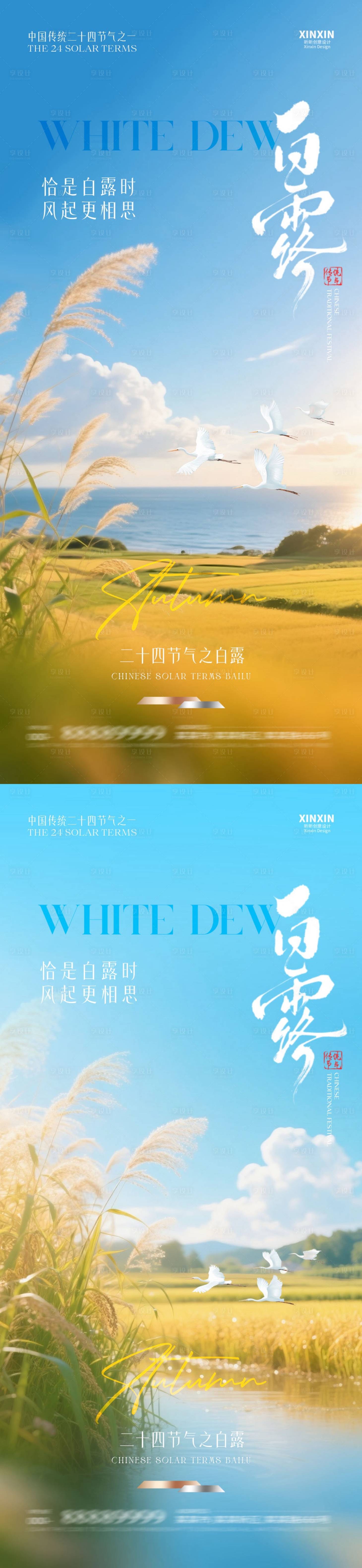 源文件下载【享设计】搜索编号：74150032700196279【地产白露芦苇风景摄影海报】