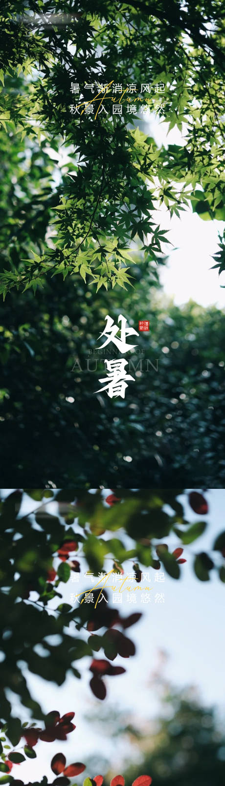 源文件下載【享設(shè)計】搜索編號：31570032482639487【處暑立秋秋分大暑小暑】