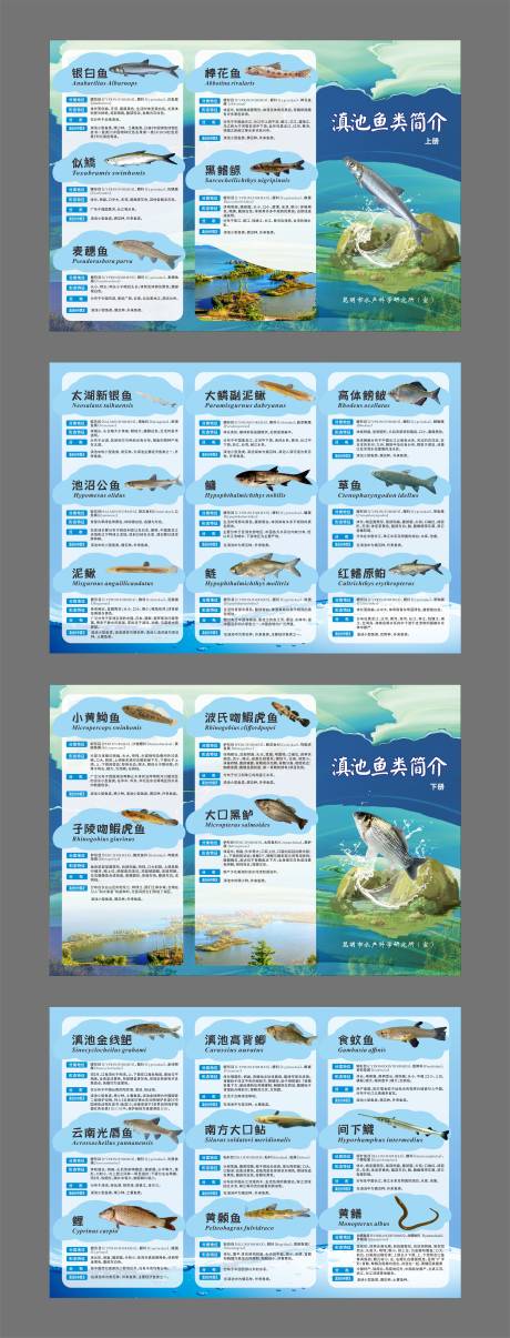 源文件下载【享设计】搜索编号：39740032347568624【三折页】