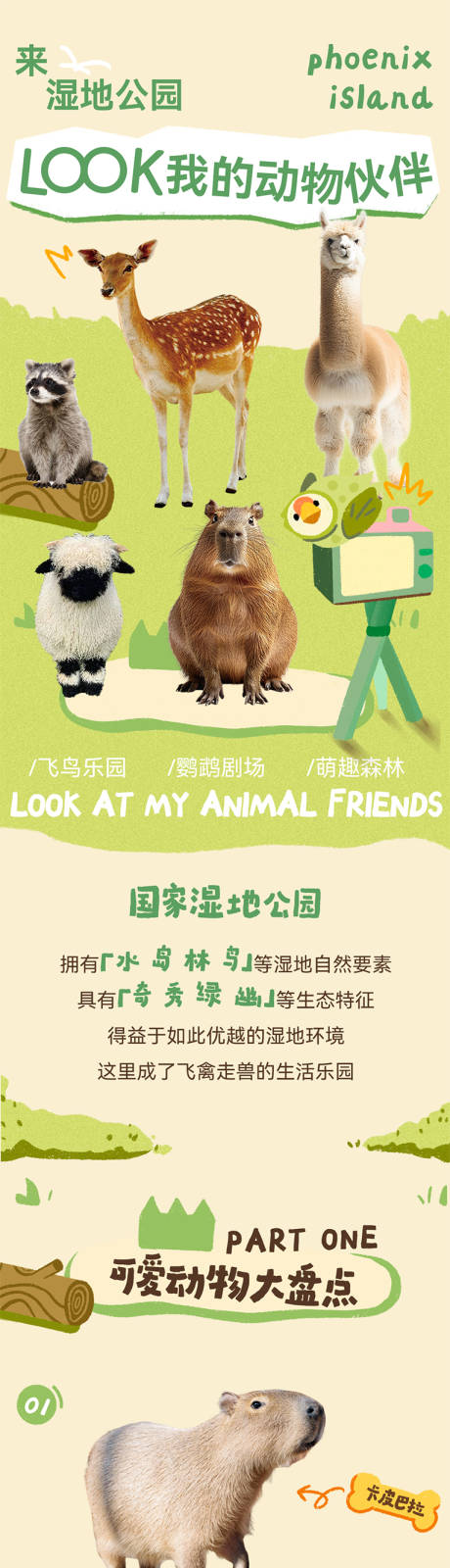 源文件下载【享设计】搜索编号：15590032675693589【LOOK我的动物伙伴】
