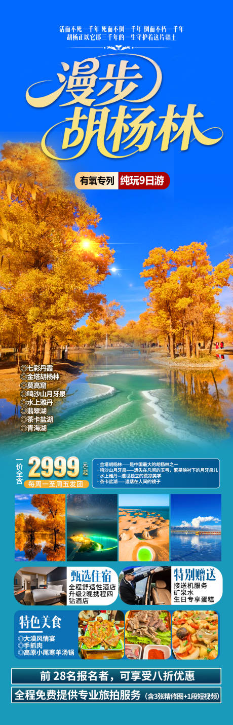 源文件下载【享设计】搜索编号：38770032758771803【漫步胡杨林旅游海报】