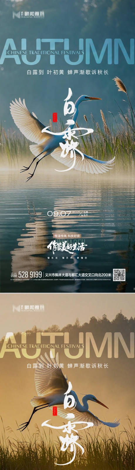 源文件下载【享设计】搜索编号：43290032785069275【2025白露二十四节气节日海报】