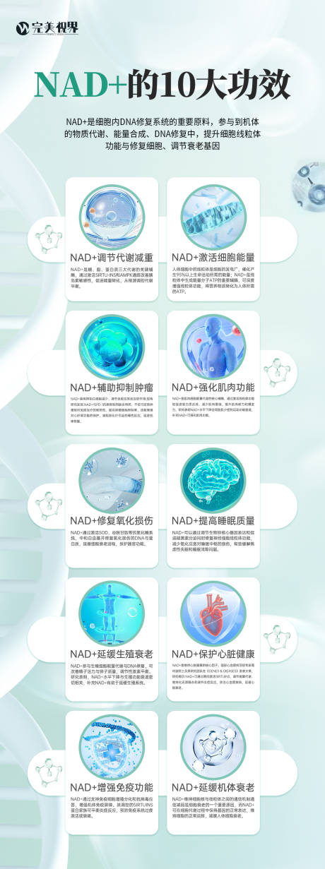 源文件下載【享設(shè)計(jì)】搜索編號(hào)：64640032620676943【醫(yī)美10大功效介紹海報(bào)】