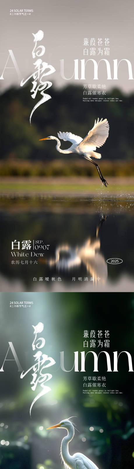 源文件下載【享設計】搜索編號：38110032814544485【白露節(jié)氣海報】