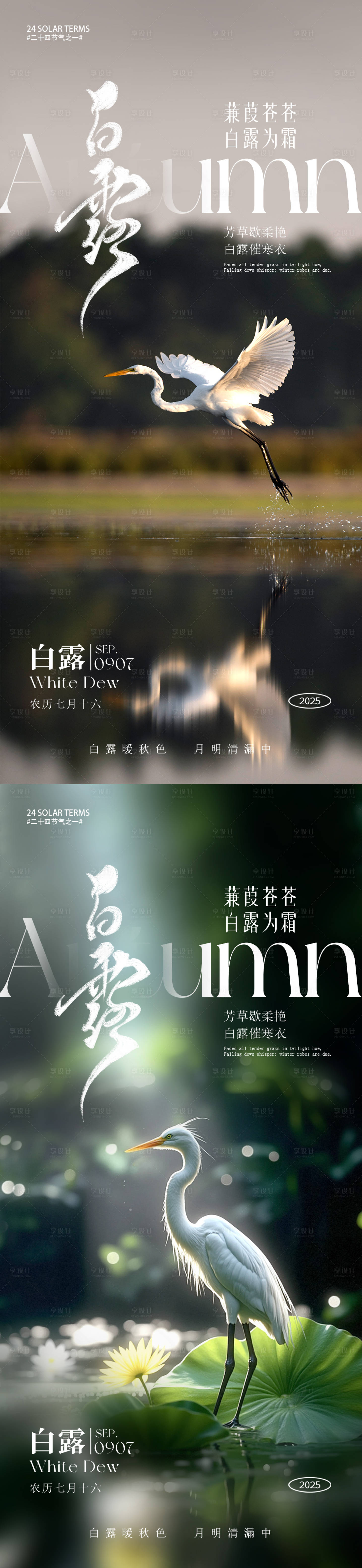 源文件下载【享设计】搜索编号：38110032814544485【白露节气海报】