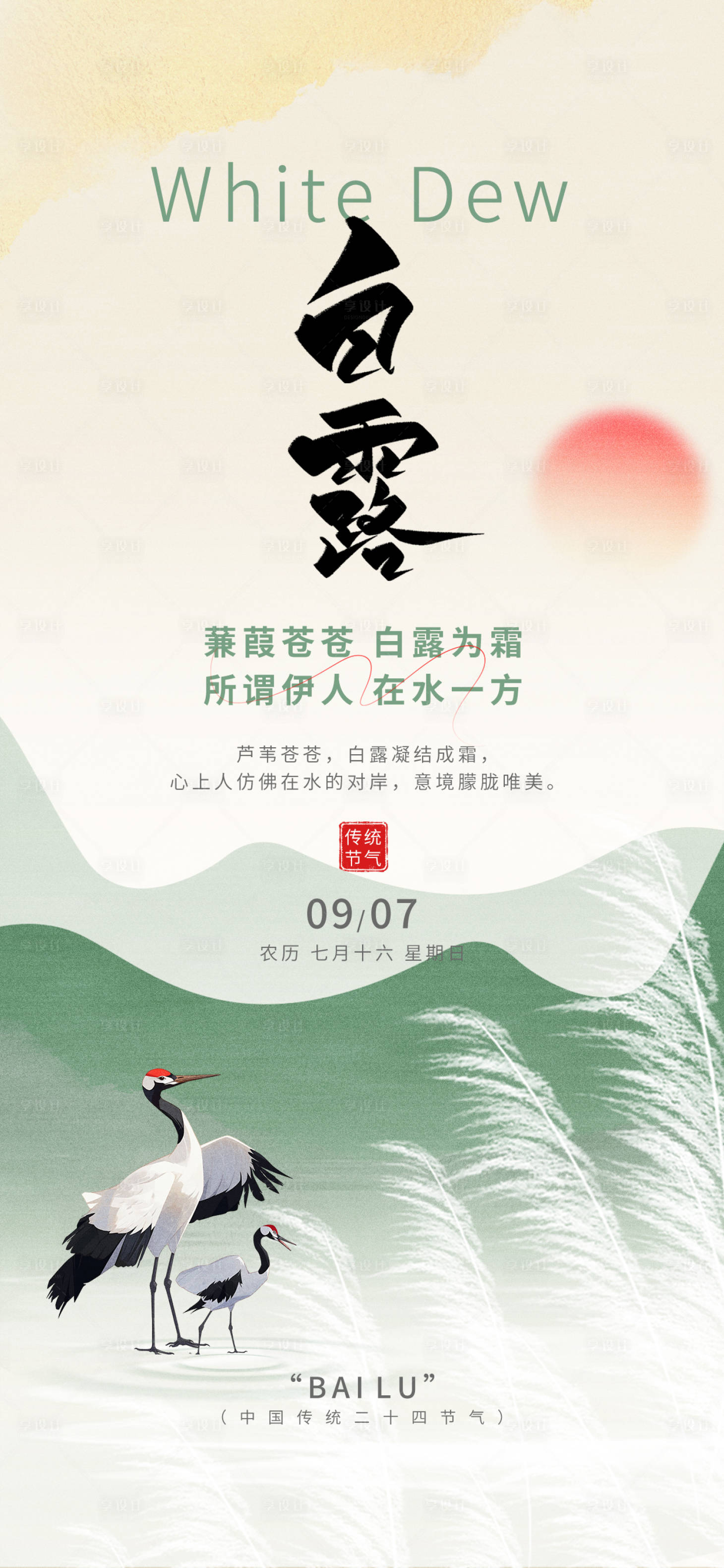 源文件下載【享設計】搜索編號：26350032486358752【白露24節氣綠色白鷺蘆葦秋天海報】