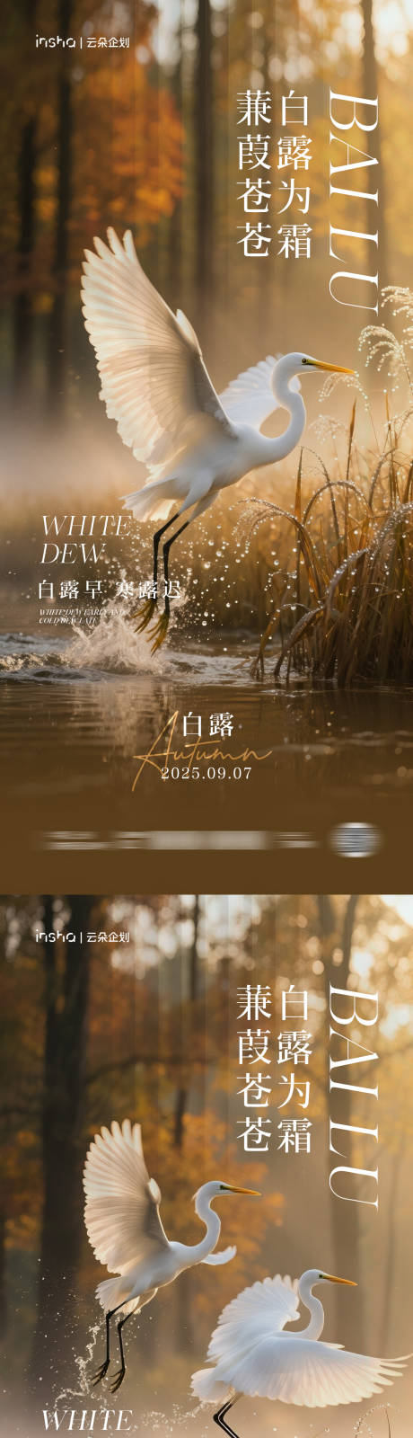 源文件下载【享设计】搜索编号：82010032706405777【白露节气海报】